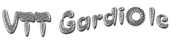 vttgardiolease.png